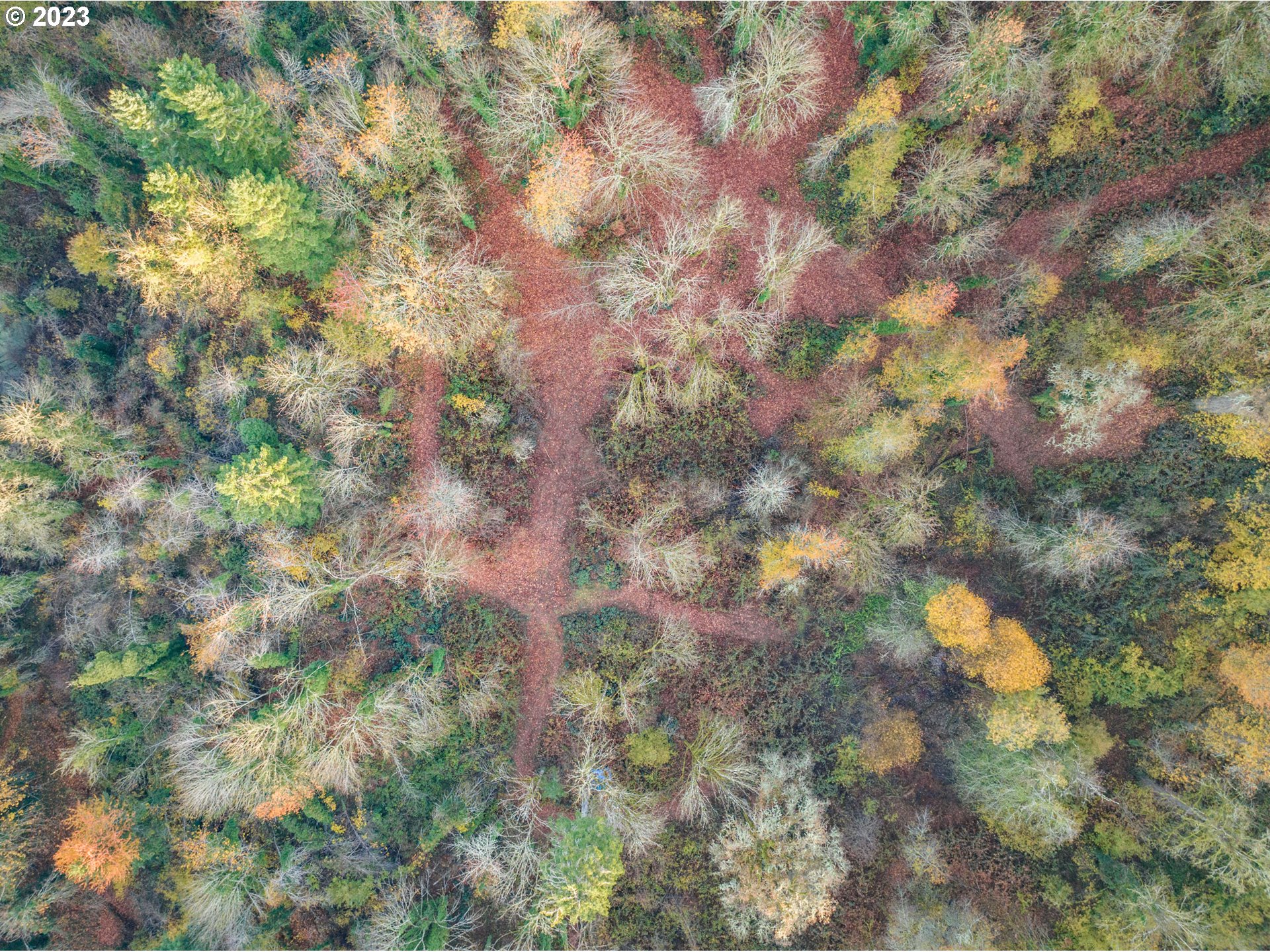 Salem, Oregon 97306, United States, ,Land,Active,68189