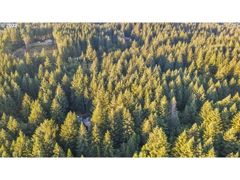 Photo of 0 NE 46th St, Camas, WA 98607 (MLS # 22525428)