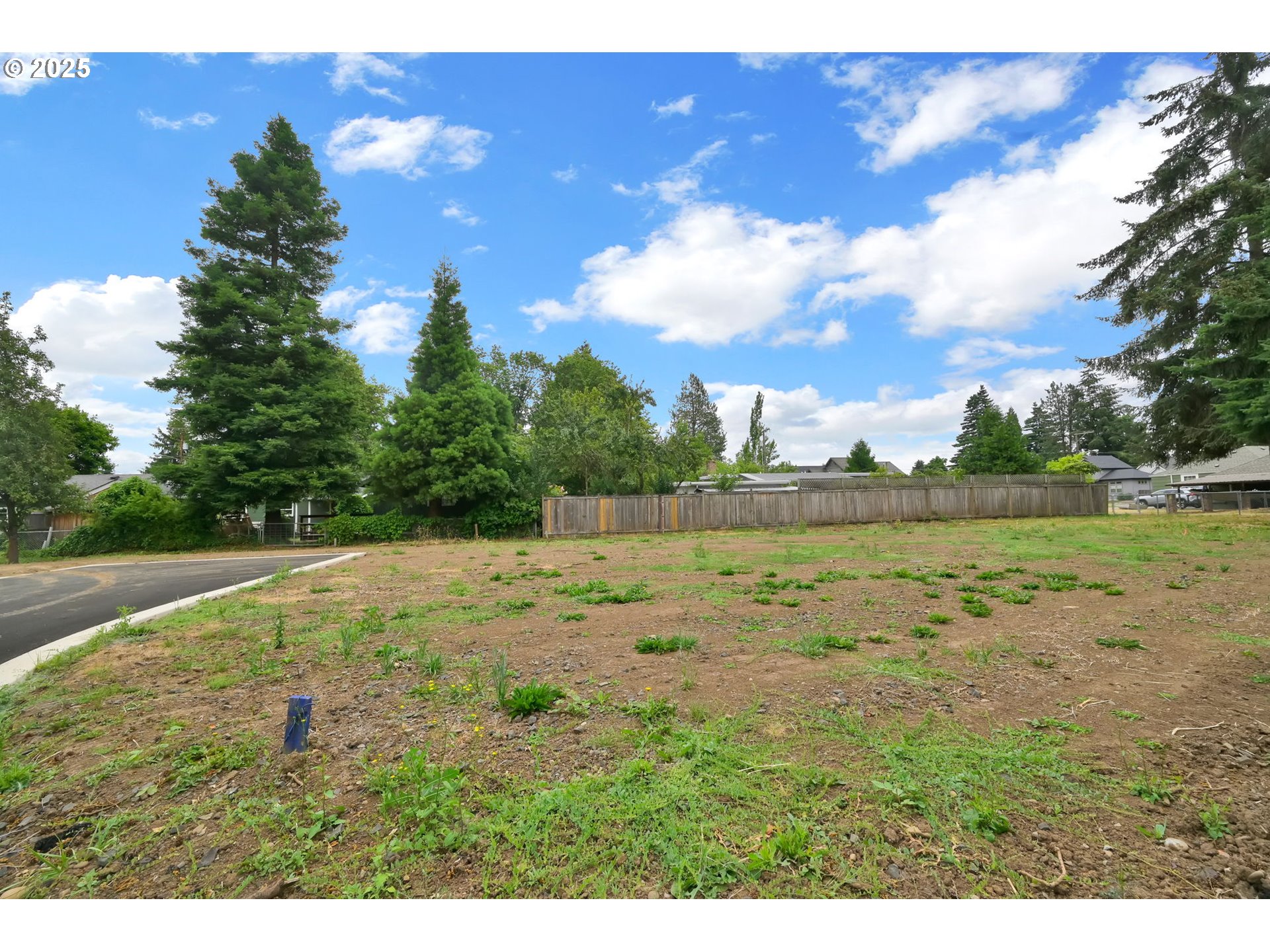 Sprig LN Lot 5