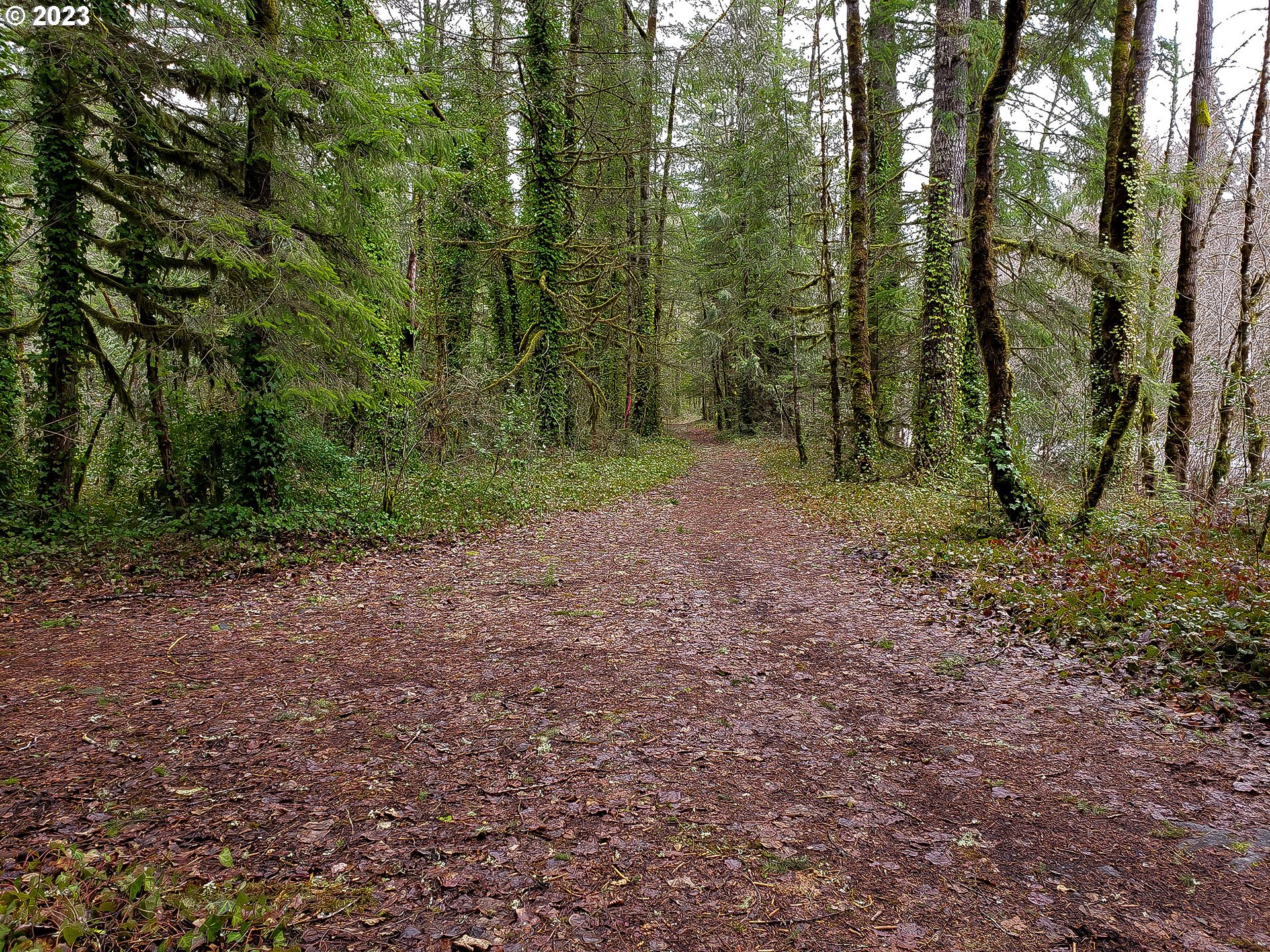 Brightwood, Oregon 97011, United States, ,Land,Active,184155