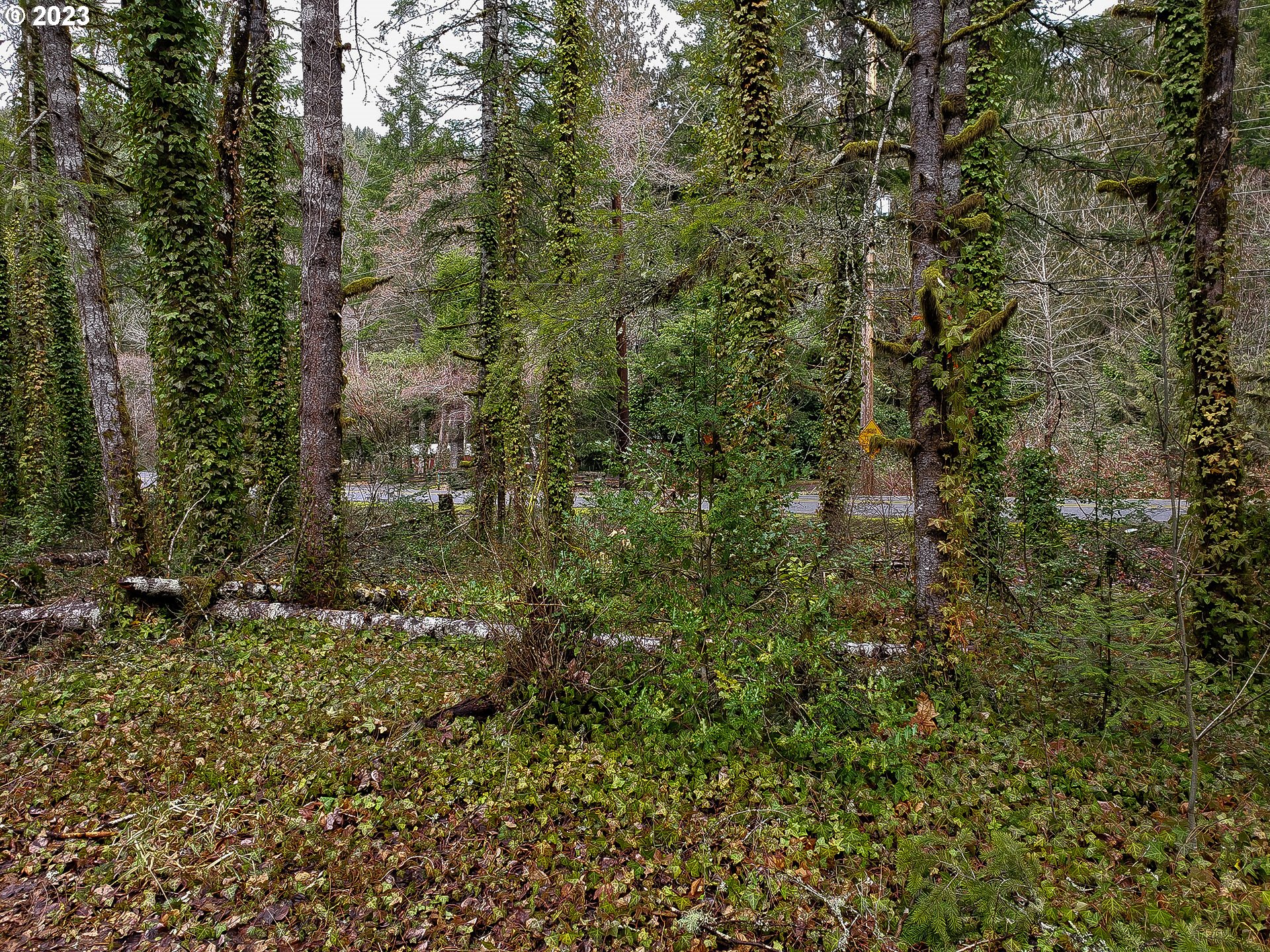 Brightwood, Oregon 97011, United States, ,Land,Active,184155