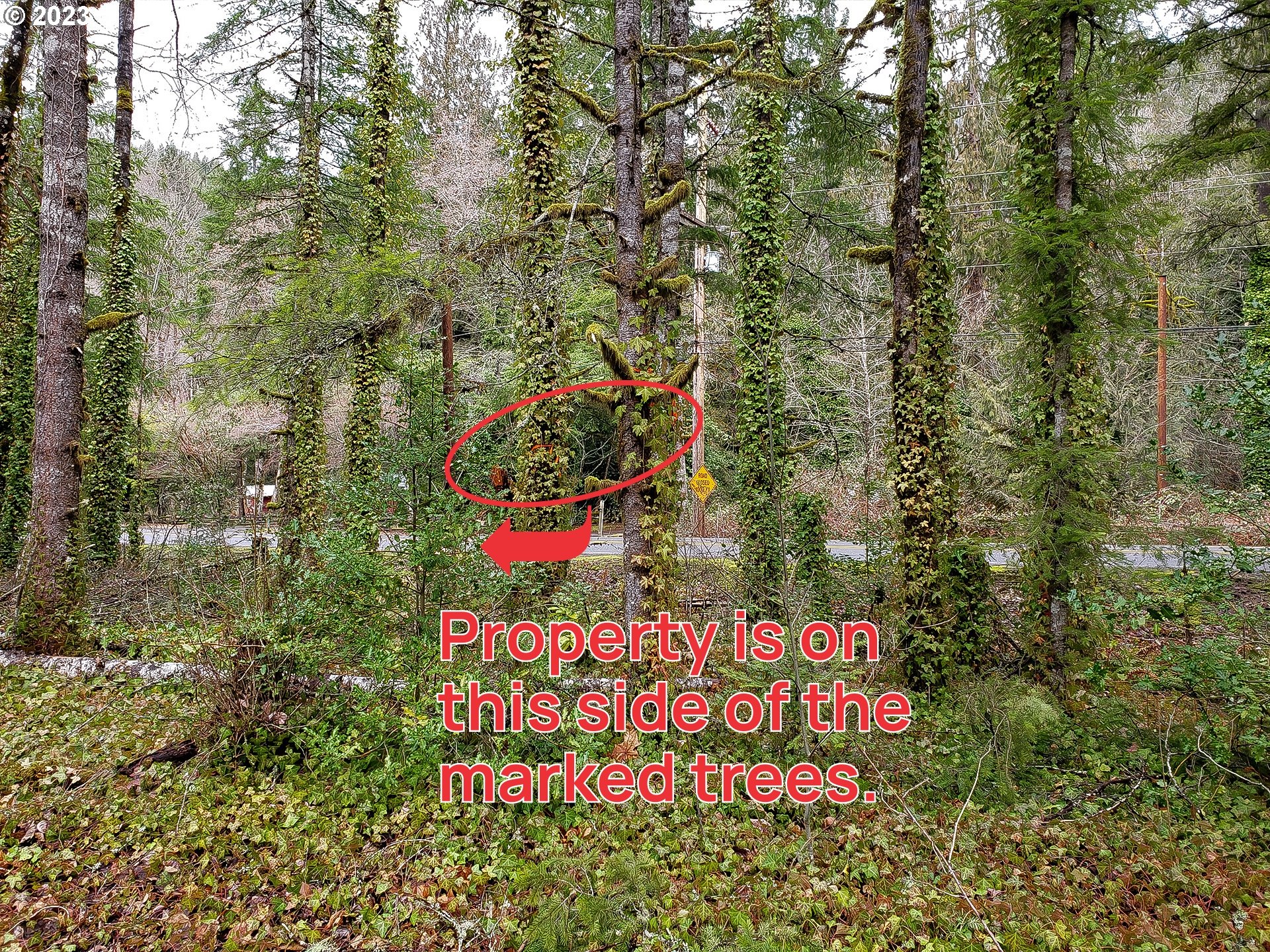 Brightwood, Oregon 97011, United States, ,Land,Active,184155