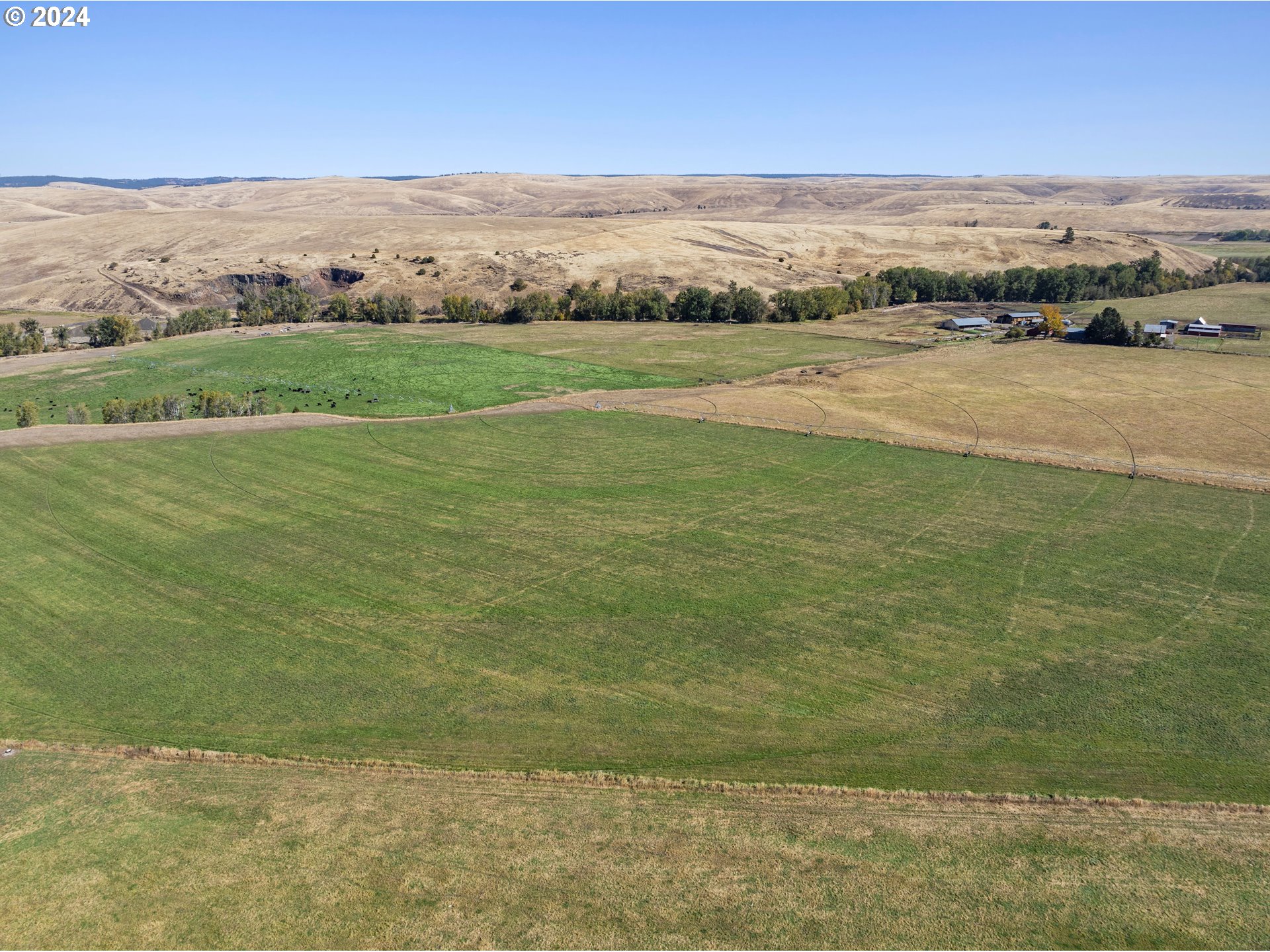 81703 E HIGHWAY 82