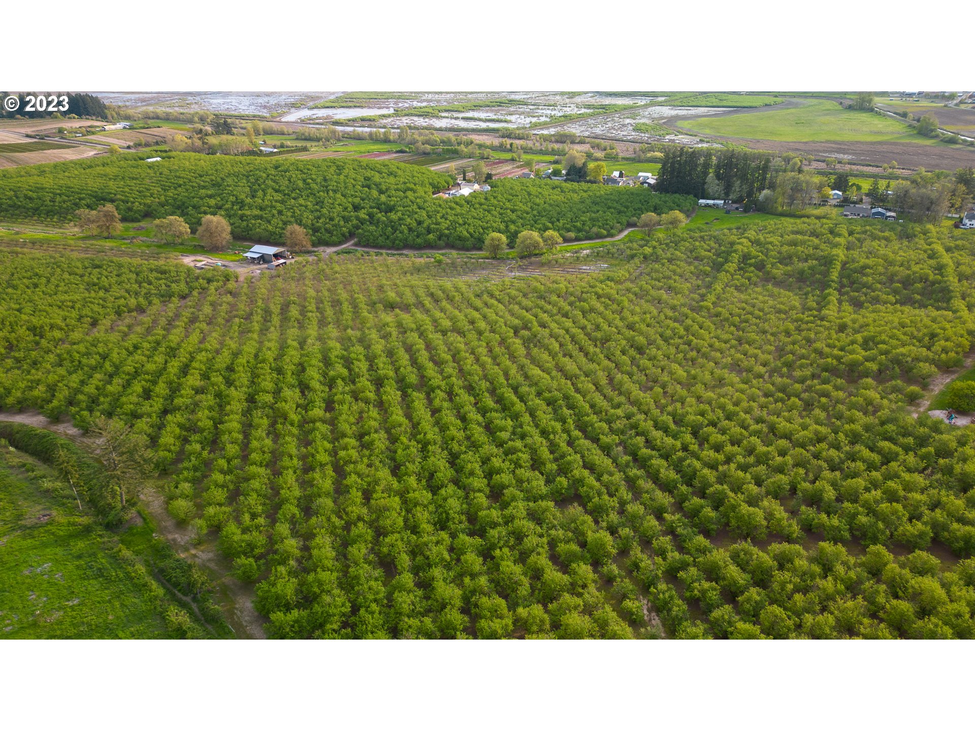 Gaston, Oregon 97119, United States, ,Residential,Active,72768