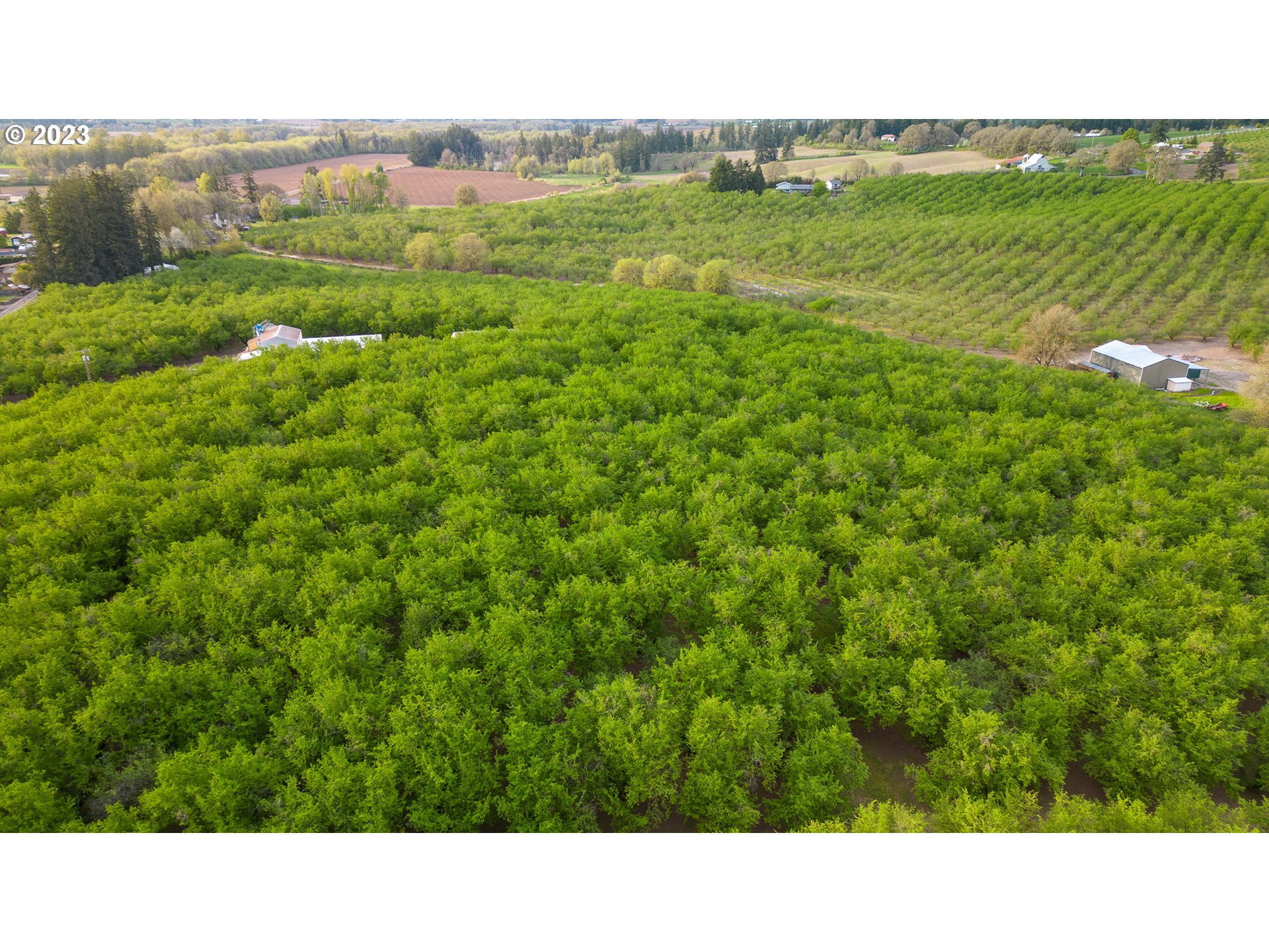 Gaston, Oregon 97119, United States, ,Residential,Active,72768