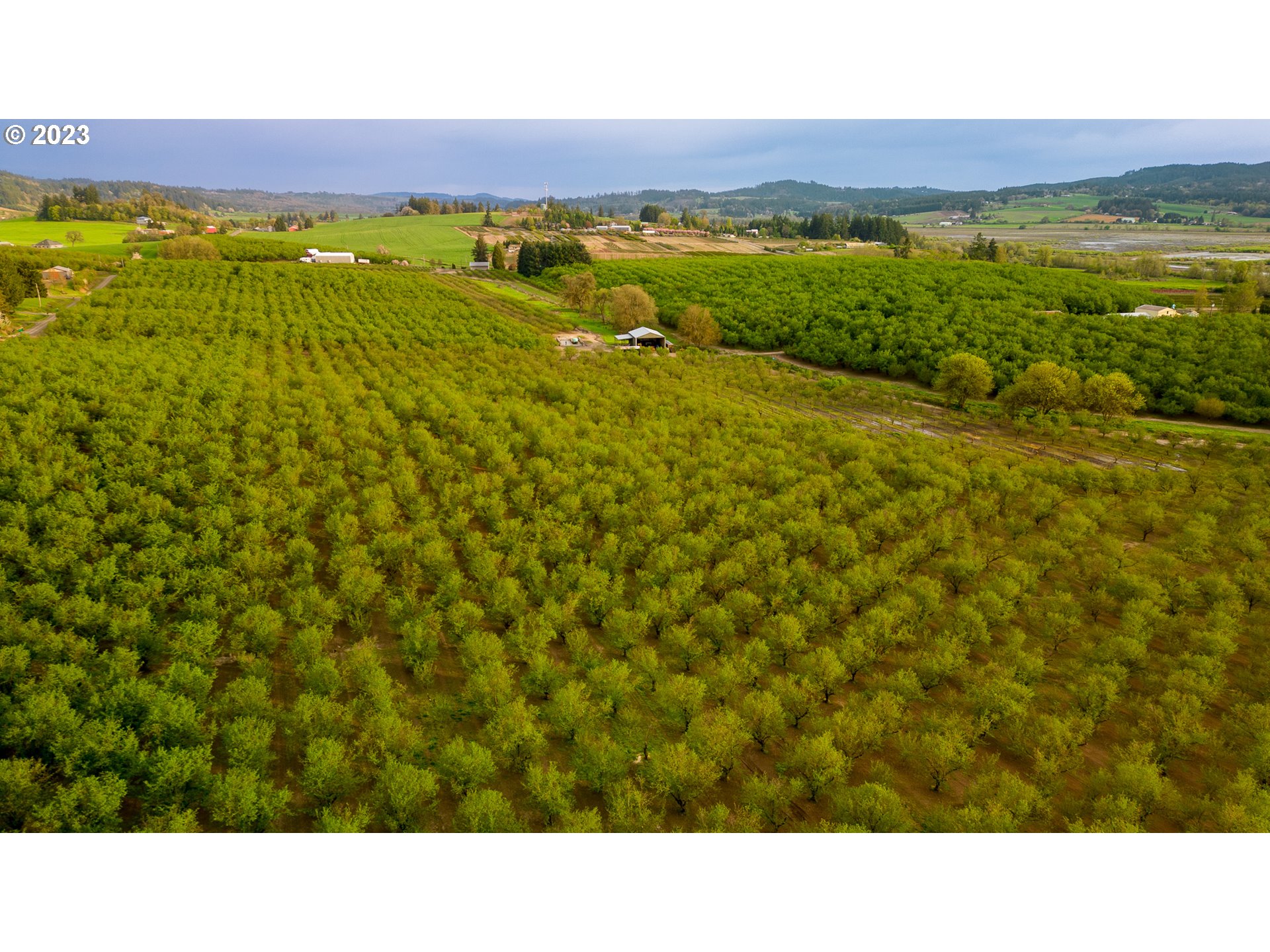 Gaston, Oregon 97119, United States, ,Residential,Active,72768