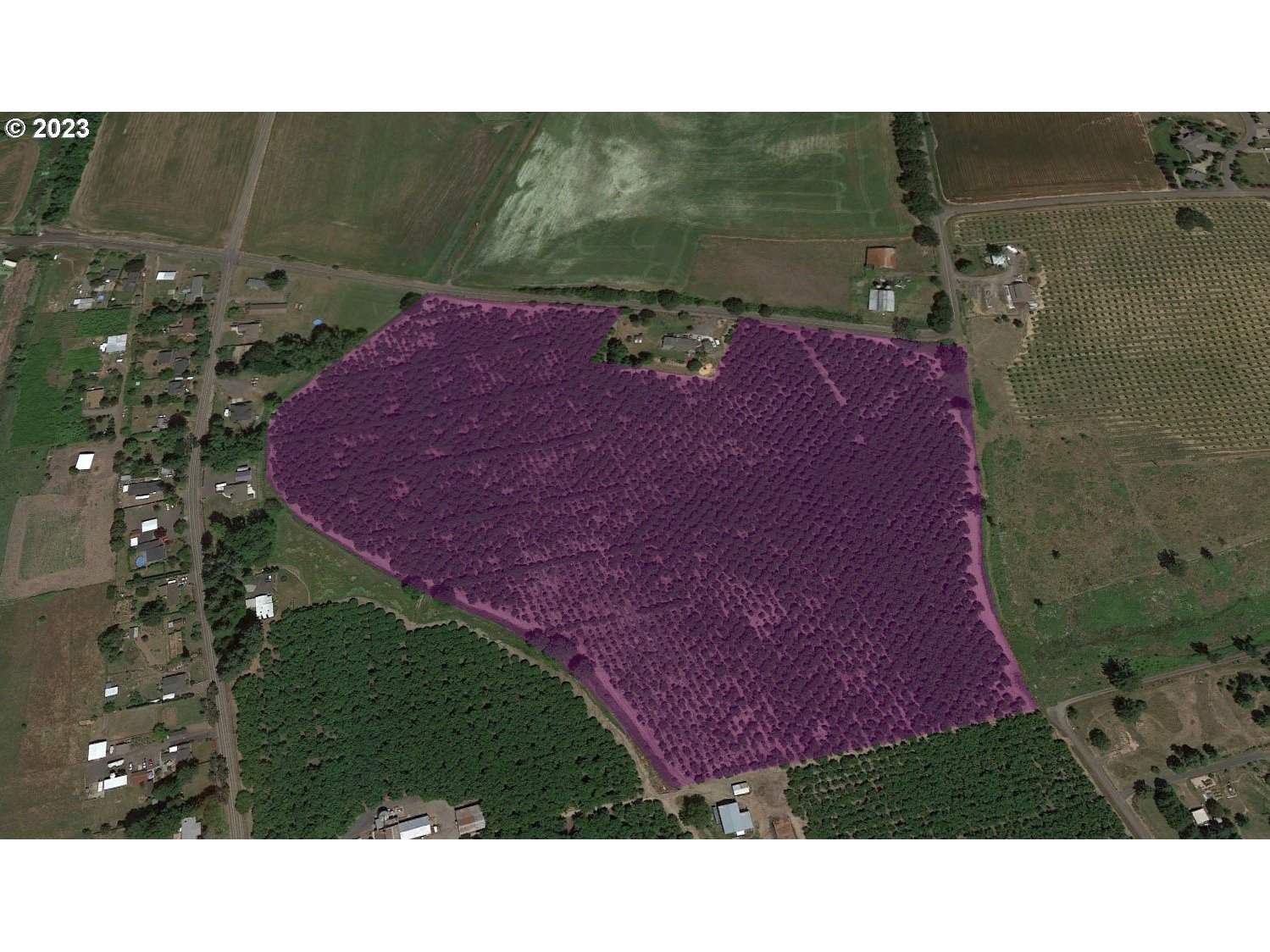 Gaston, Oregon 97119, United States, ,Residential,Active,72768