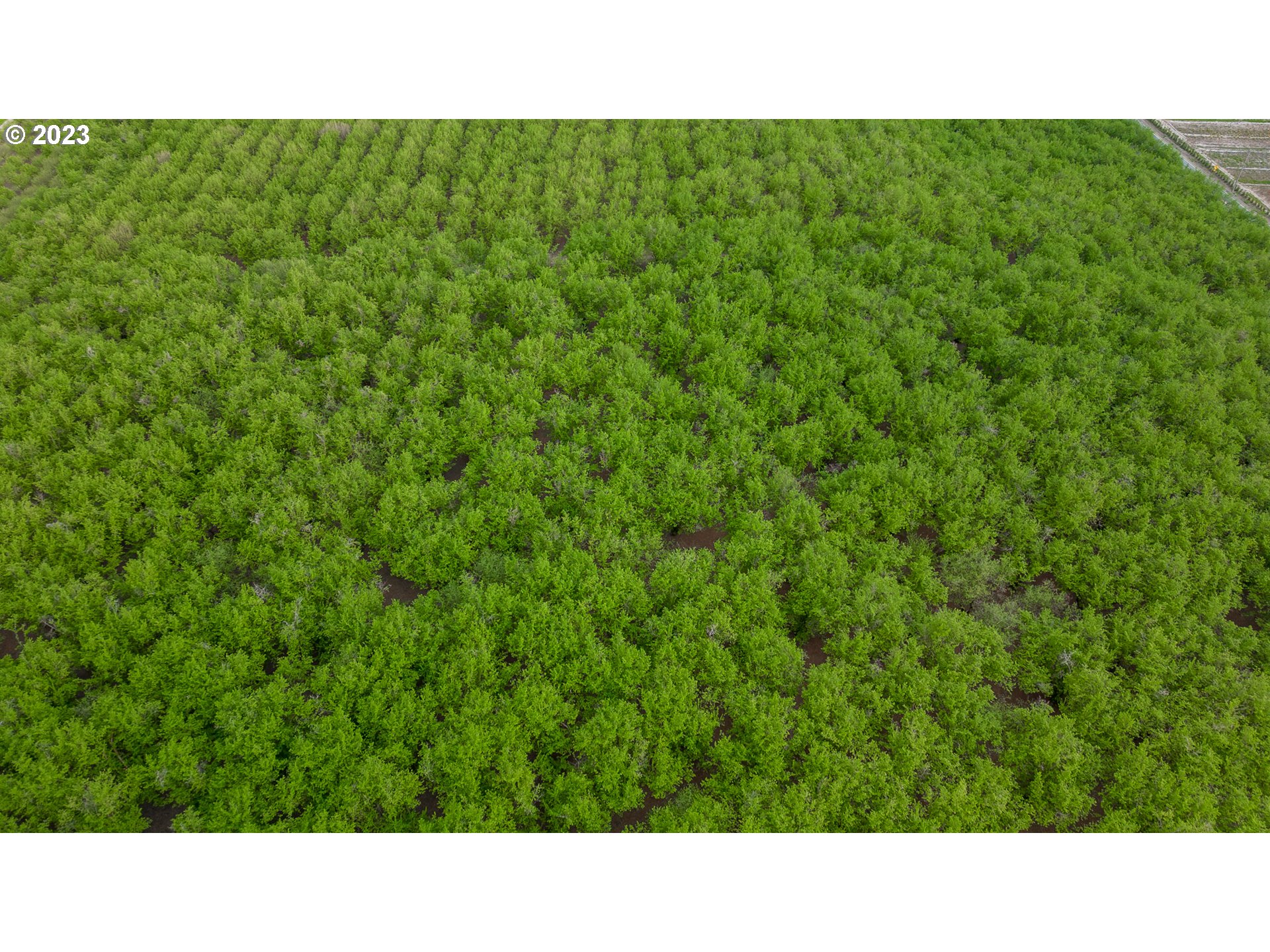 Gaston, Oregon 97119, United States, ,Residential,Active,72768