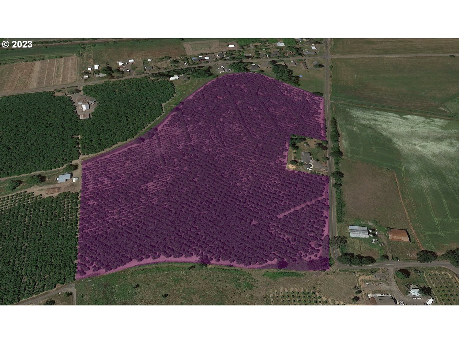 Gaston, Oregon 97119, United States, ,Residential,Active,72768