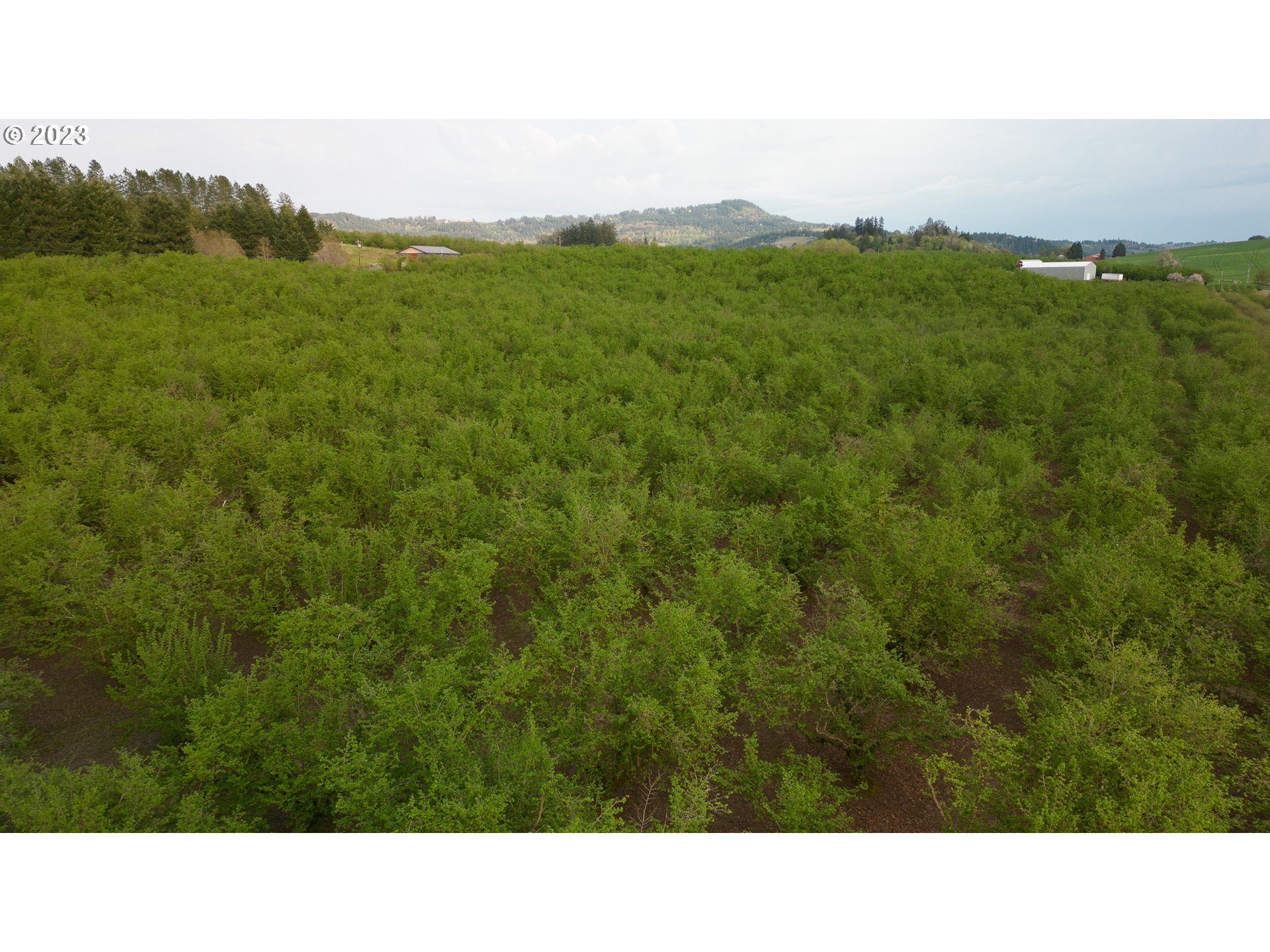 Gaston, Oregon 97119, United States, ,Residential,Active,72768