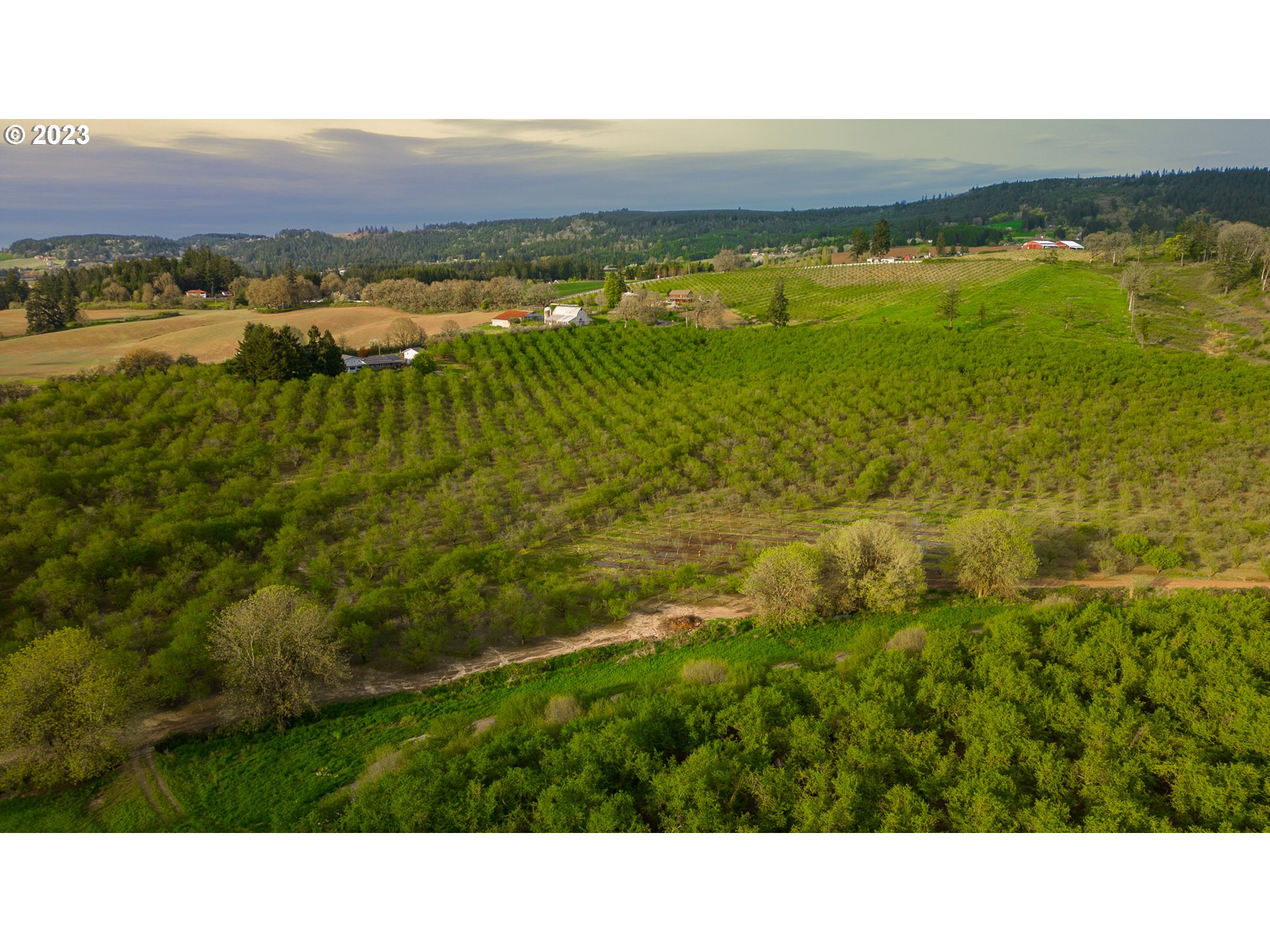 Gaston, Oregon 97119, United States, ,Residential,Active,72768