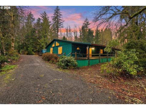 40408 NE CEDAR RIDGE RD Amboy WA 98601