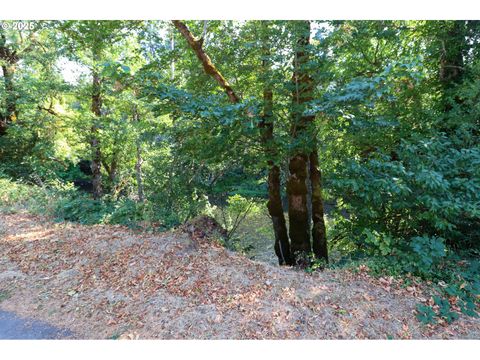 Tiny photo for 46715 Sunset Ave, Westfir, OR 97492 (MLS # 226990934)