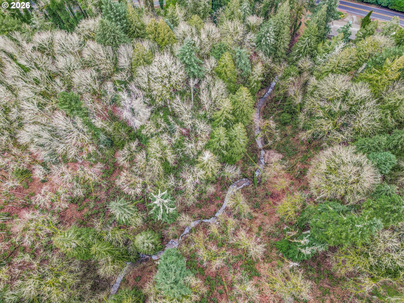 Clackamas River DR