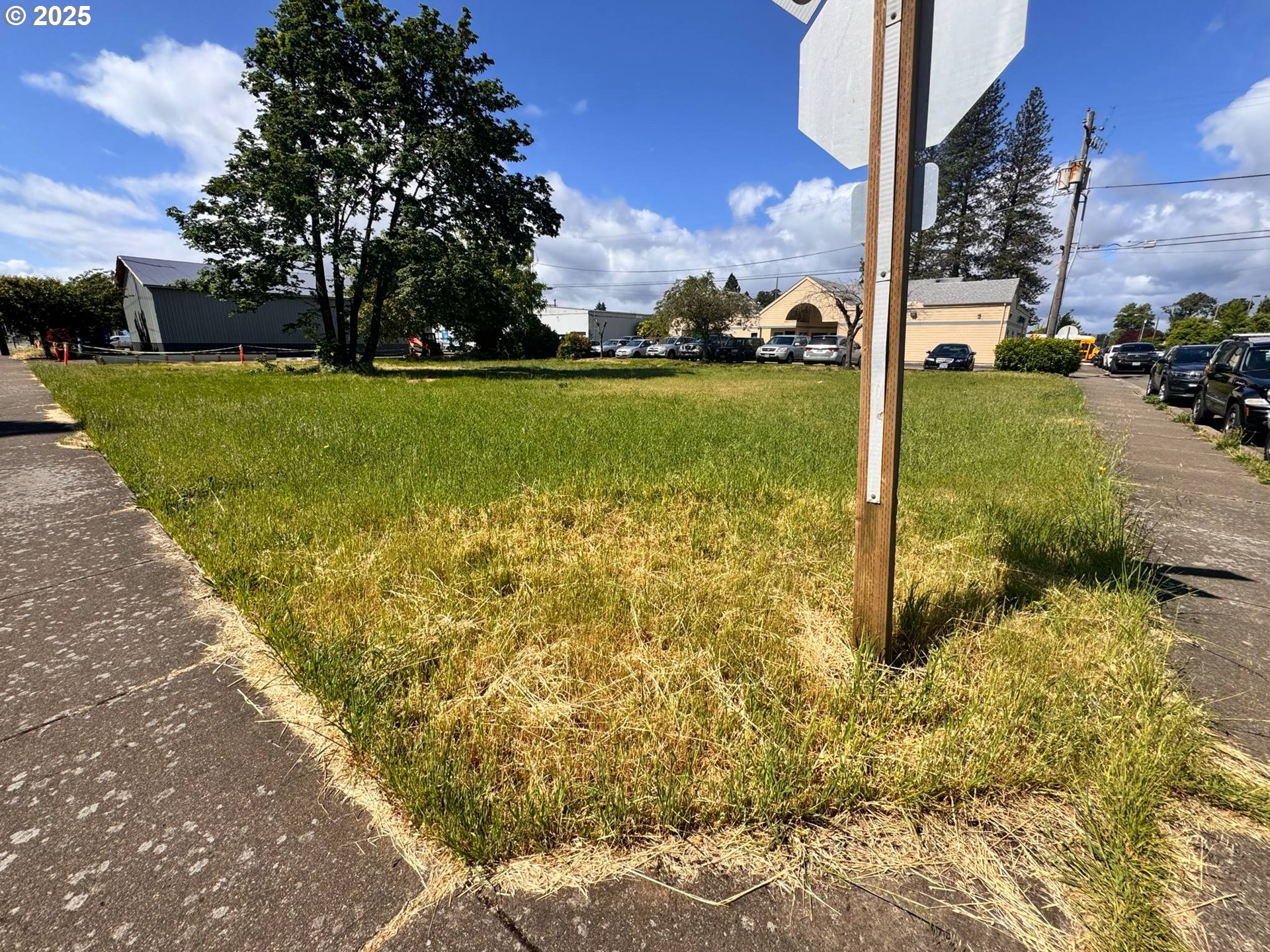 Holly ST