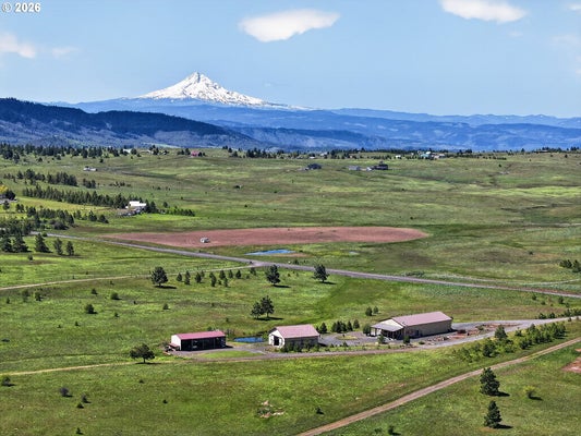 250 SCHILLING RD, LYLE, WA 98635 - Image 1d11dc2ca4ef9fa31484014f0701acdc/2021358951
