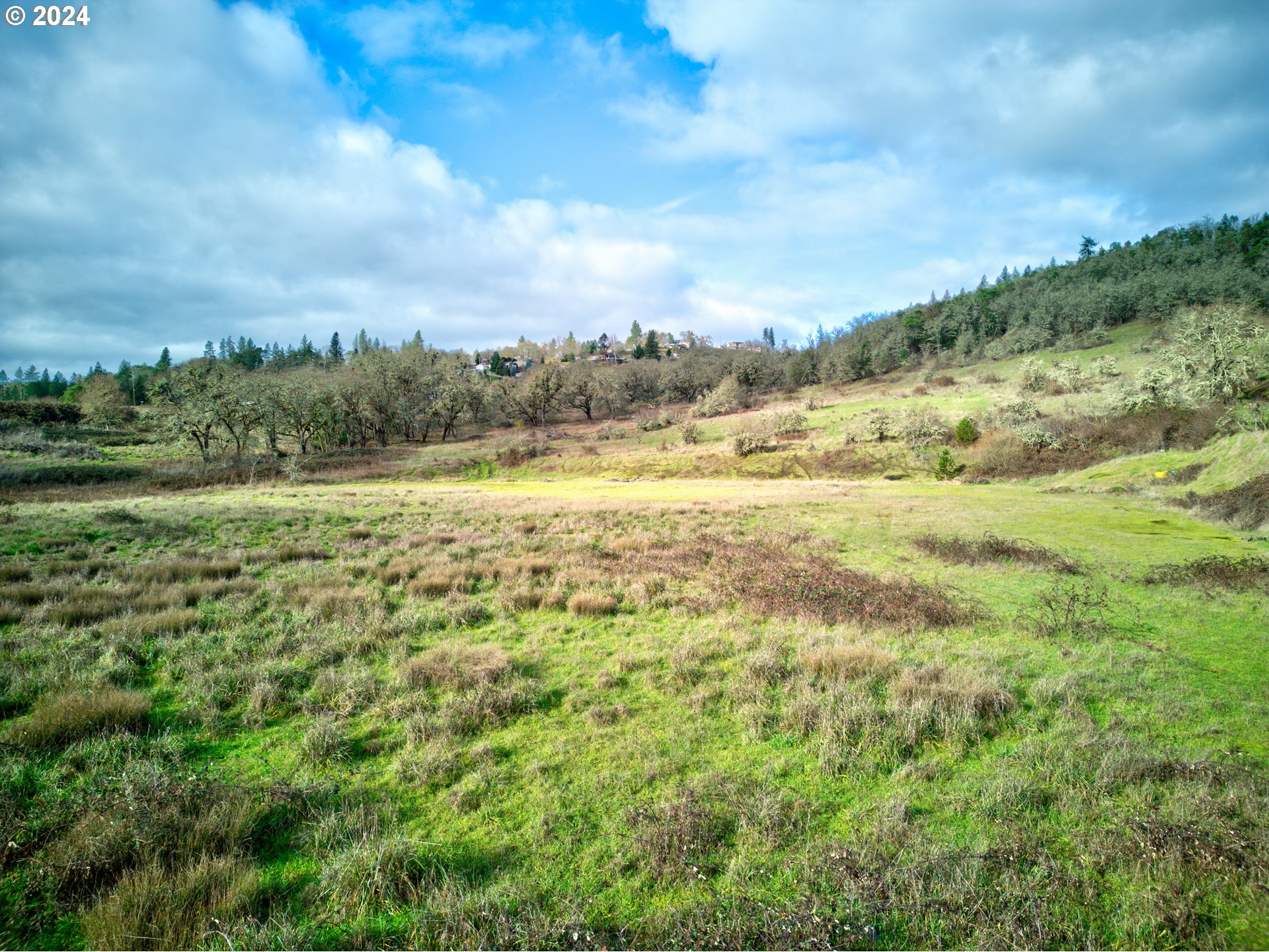 3110 NE DIAMOND LAKE BLVD