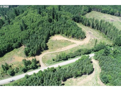 0 KALAMA RIVER RD B Kalama WA 98625