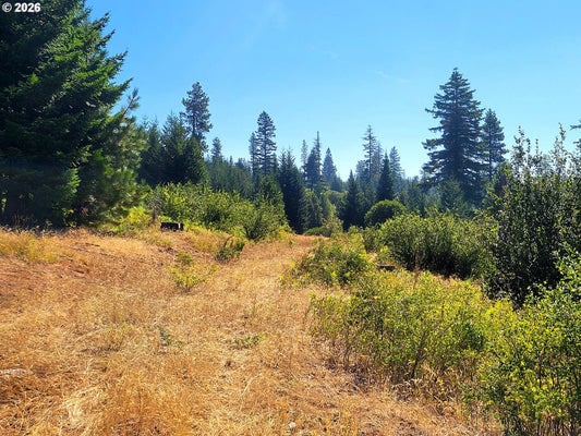 ADDRESS PRIVATE, GOLDENDALE, WA  - Image 1f39a7ad04ce3aa45f32f9e06e04e0ec/2521162464