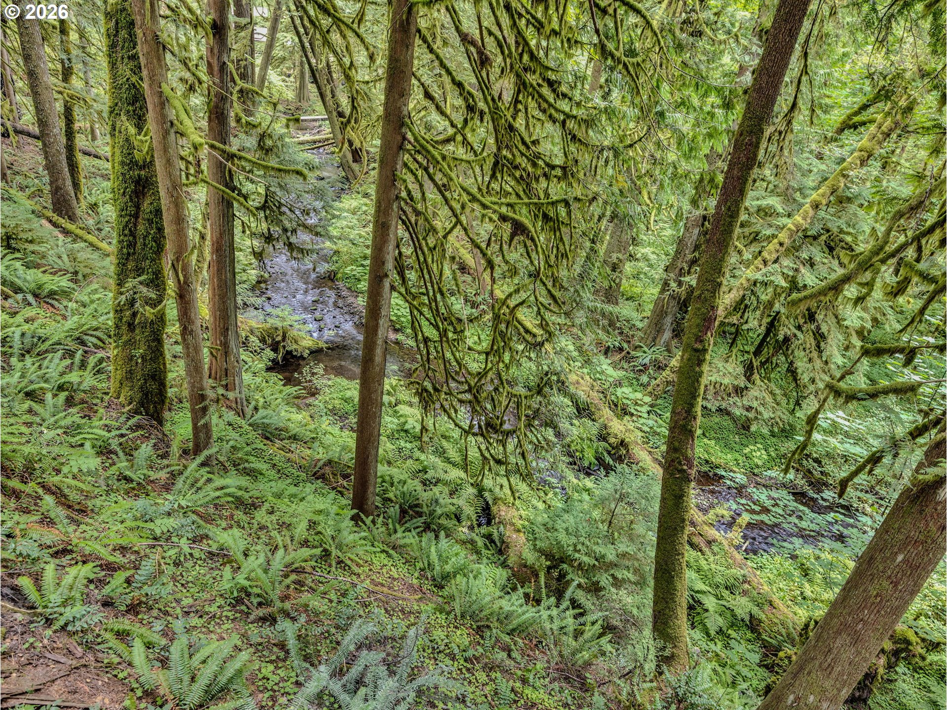 26467 E HENRY CREEK RD