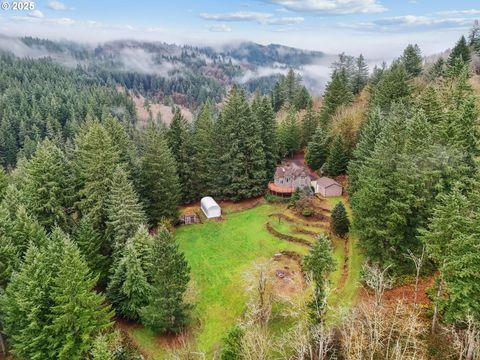 Photo of 33111 SE Wood Dr, Washougal, WA 98671 (MLS # 336414260)