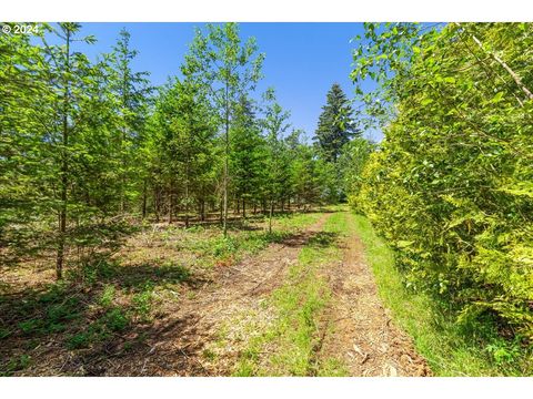 A home in Estacada