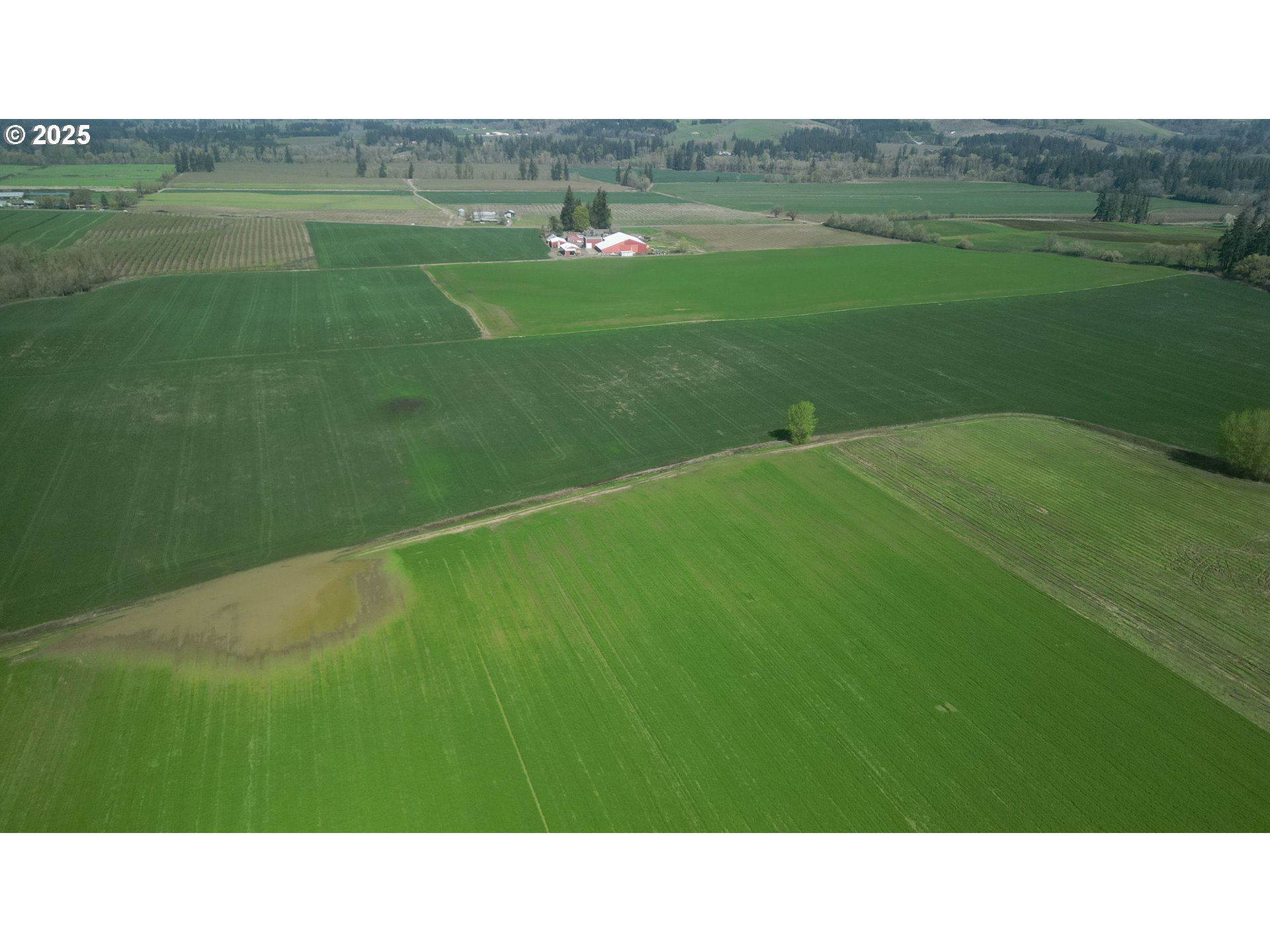 St Paul, Oregon 97137, United States, ,Residential,Active,121502