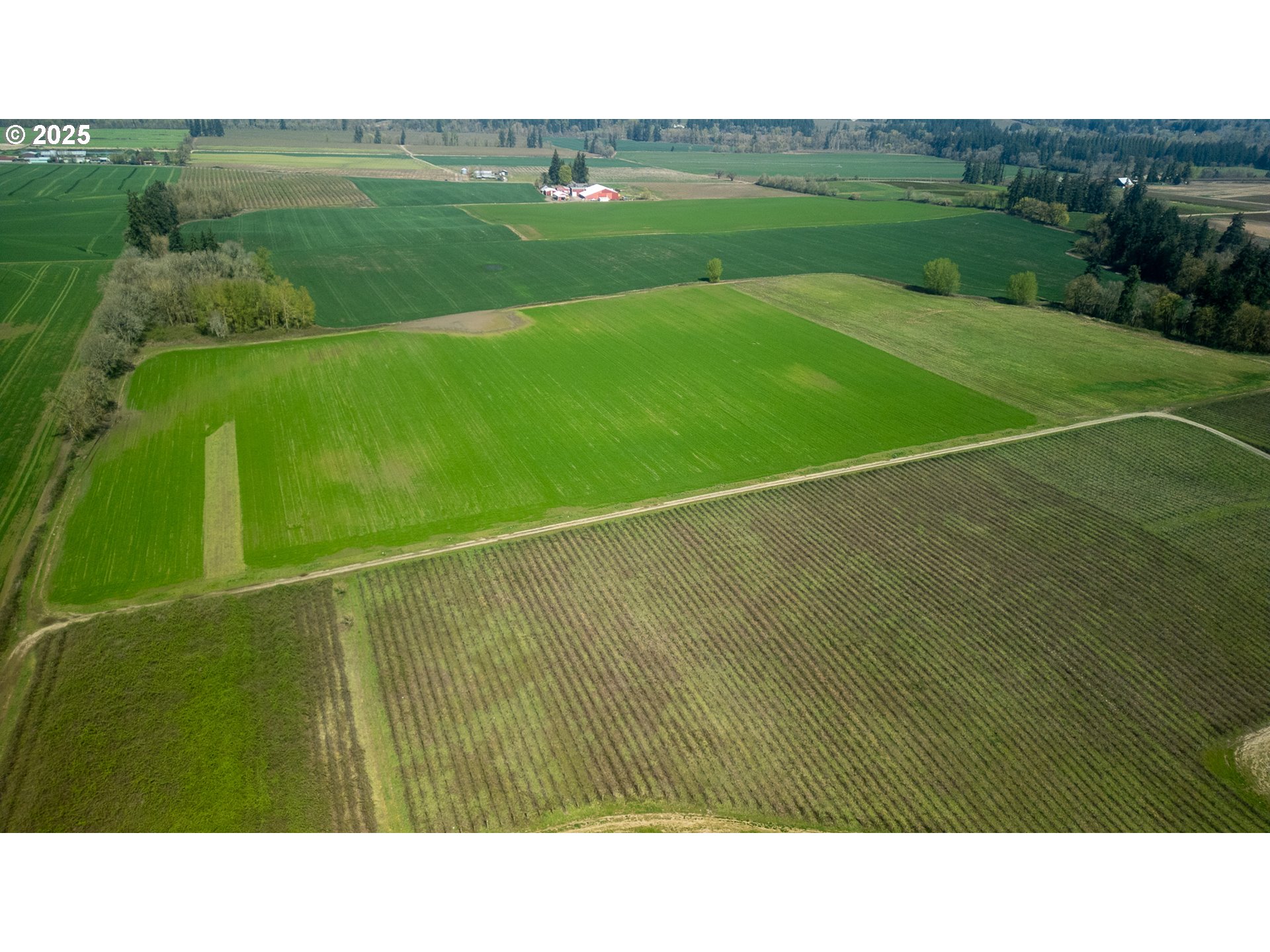 St Paul, Oregon 97137, United States, ,Residential,Active,121502