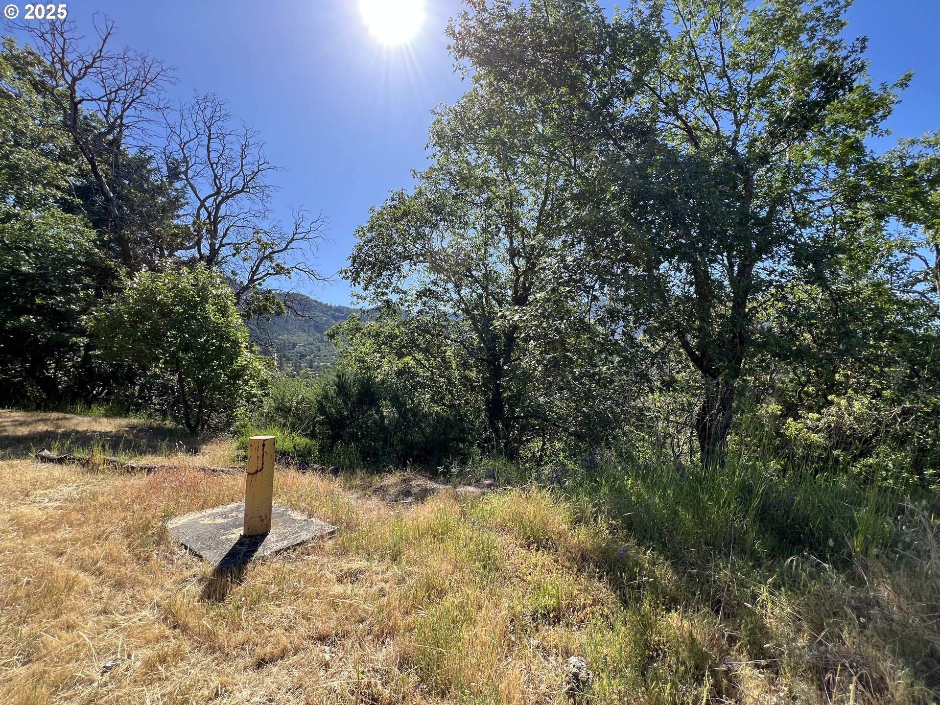 1636 PANORAMIC LOOP