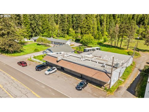 Tiny photo for 47393 Highway 58, Oakridge, OR 97463 (MLS # 579853651)