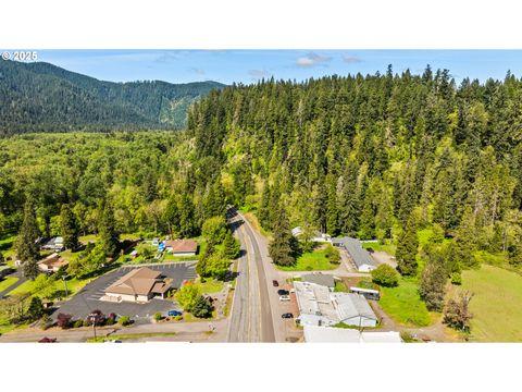 Tiny photo for 47393 Highway 58, Oakridge, OR 97463 (MLS # 579853651)