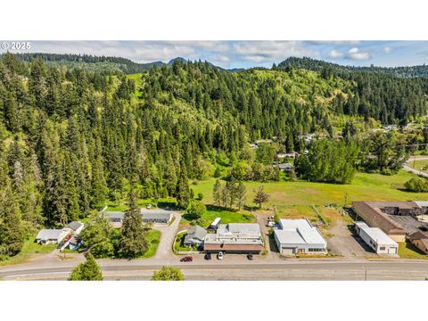 Tiny photo for 47393 Highway 58, Oakridge, OR 97463 (MLS # 579853651)