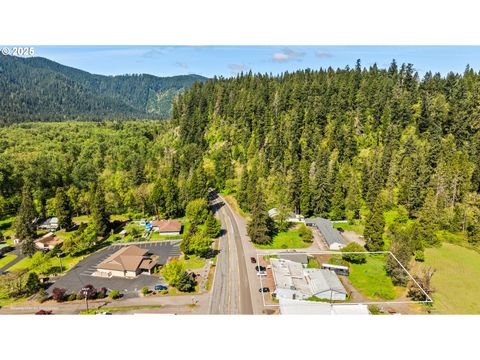 Tiny photo for 47393 Highway 58, Oakridge, OR 97463 (MLS # 579853651)