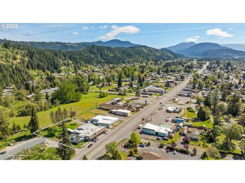 Tiny photo for 47393 Highway 58, Oakridge, OR 97463 (MLS # 579853651)