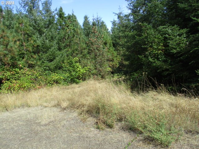 000 Bellinger Scale (3) RD