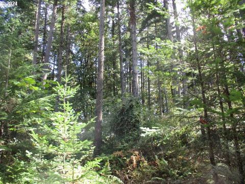 000 Bellinger Scale (3) RD Lebanon OR 97355