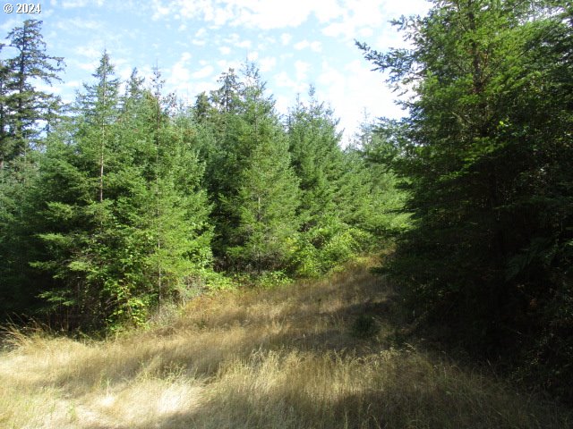 000 Bellinger Scale (3) RD