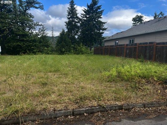76160 COHO LN, OAKRIDGE, OR 97463 - Image 224b0eb04d89a9ccd894e58741974e49/919894783