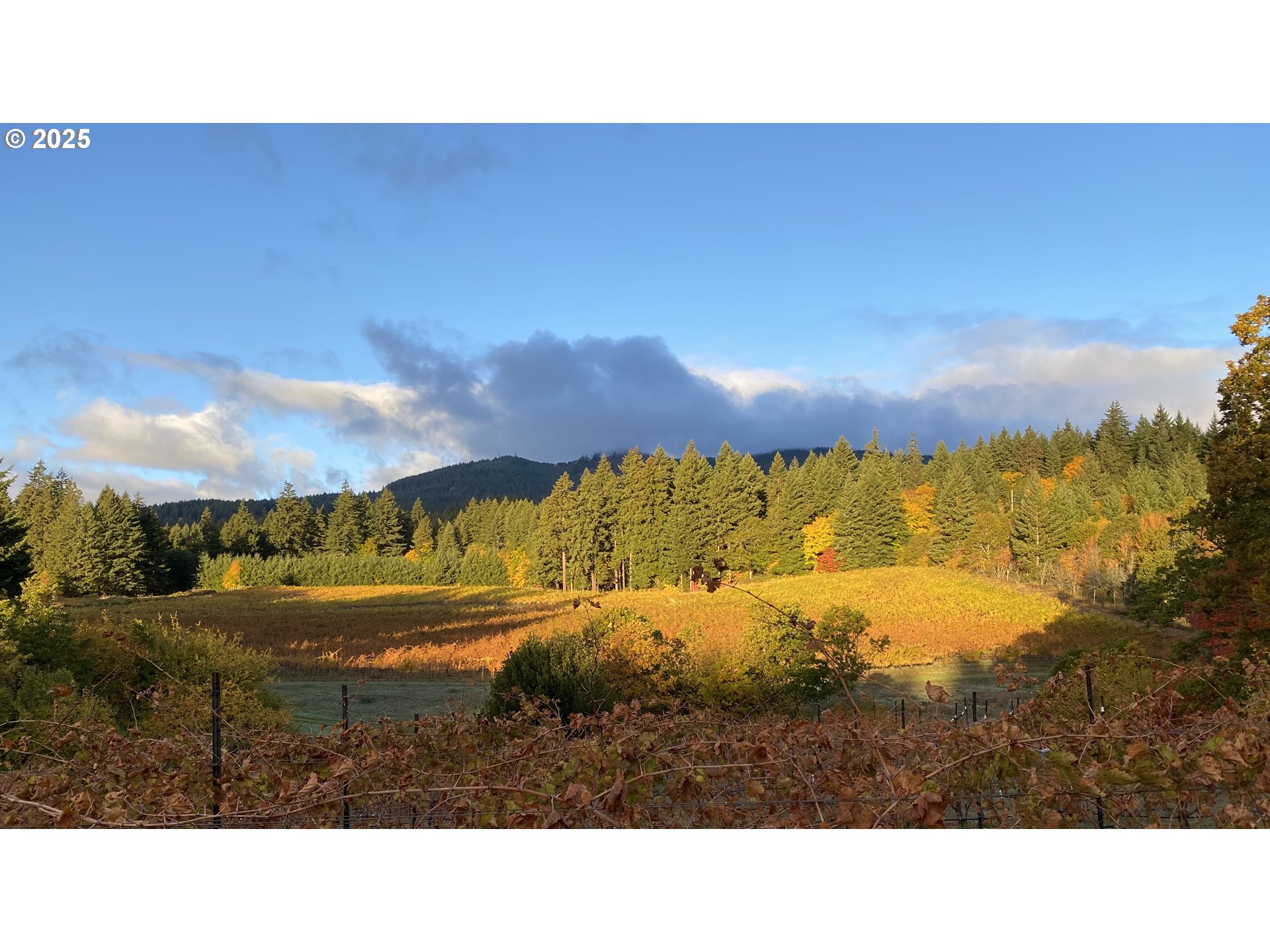 Underwood, Washington 98651, United States, 2 Bedrooms Bedrooms, ,1 BathroomBathrooms,Residential,Active,174501