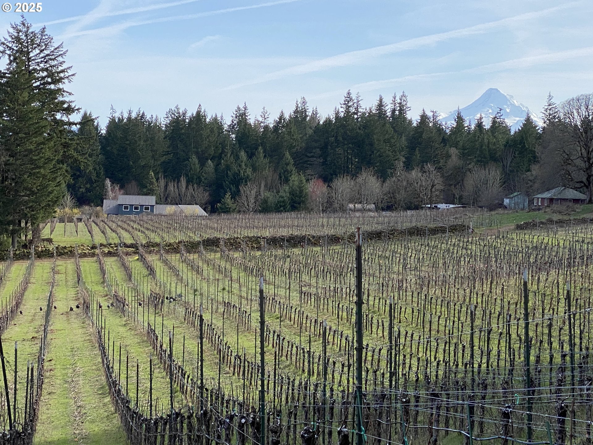 Underwood, Washington 98651, United States, 2 Bedrooms Bedrooms, ,1 BathroomBathrooms,Residential,Active,174501