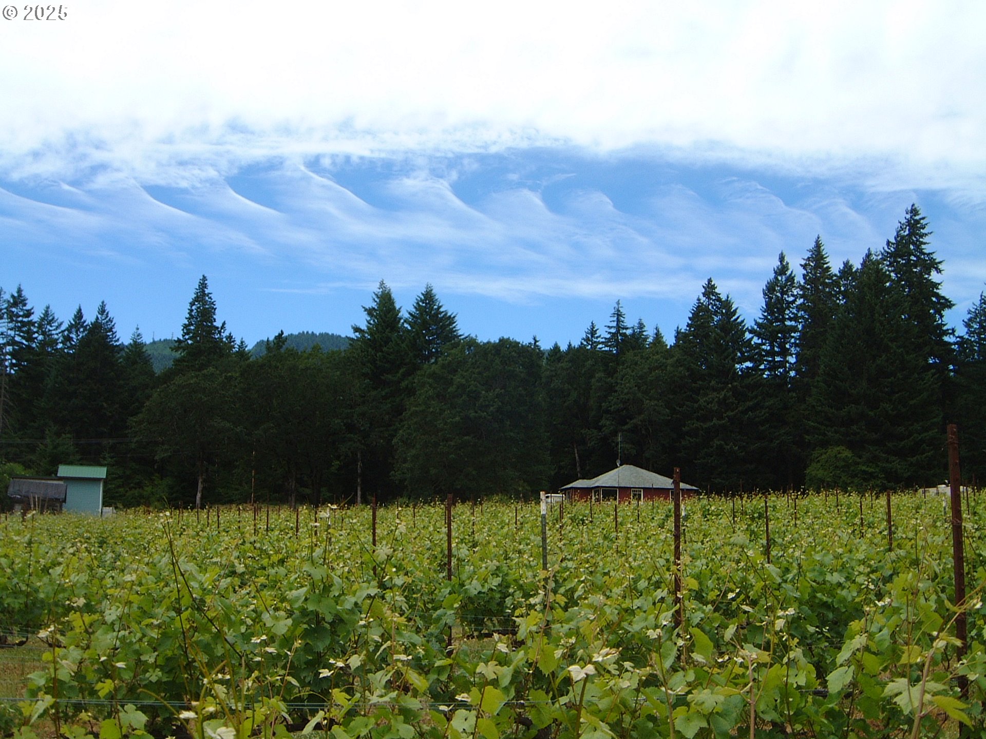 Underwood, Washington 98651, United States, 2 Bedrooms Bedrooms, ,1 BathroomBathrooms,Residential,Active,174501