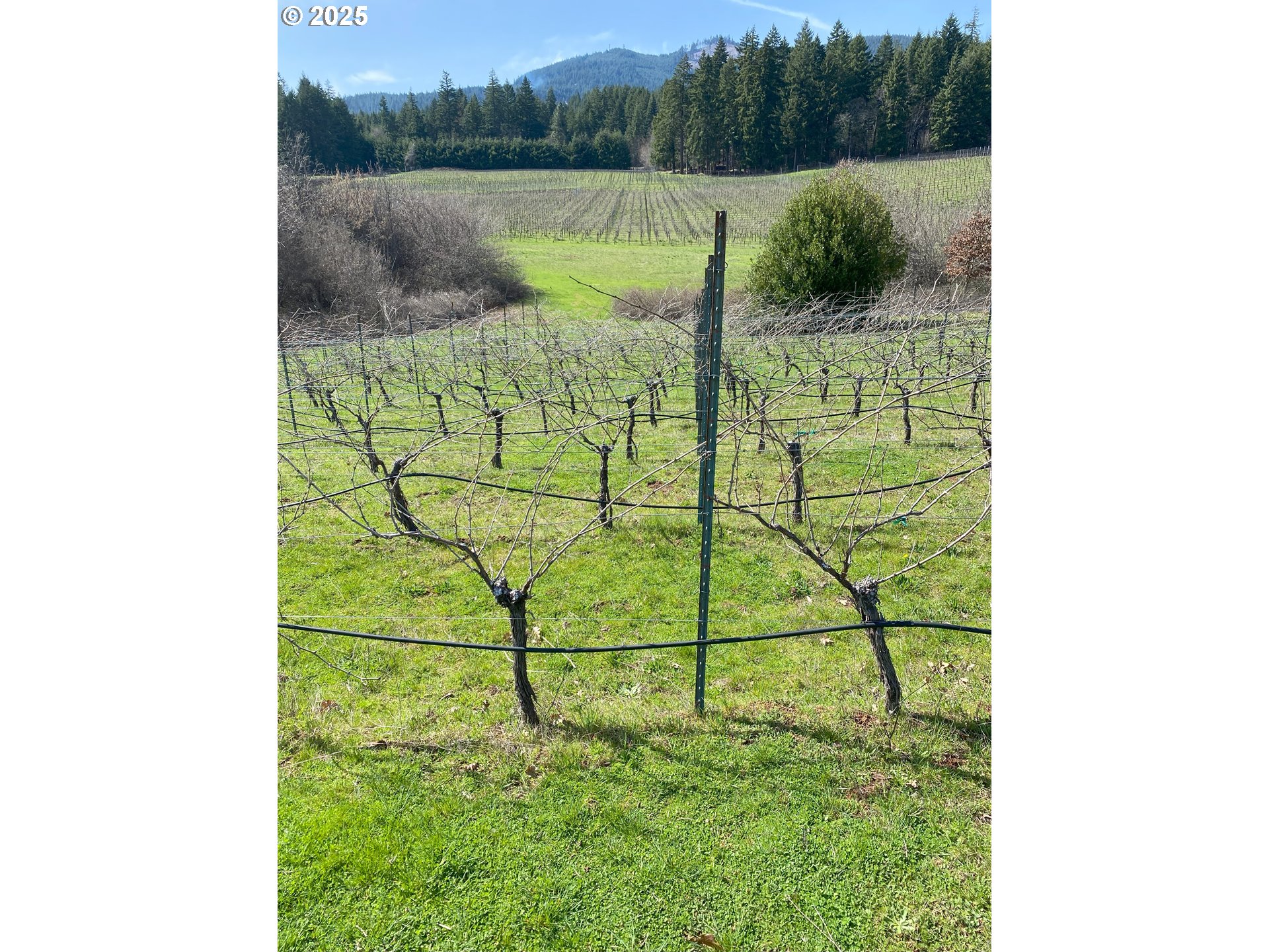 Underwood, Washington 98651, United States, 2 Bedrooms Bedrooms, ,1 BathroomBathrooms,Residential,Active,174501