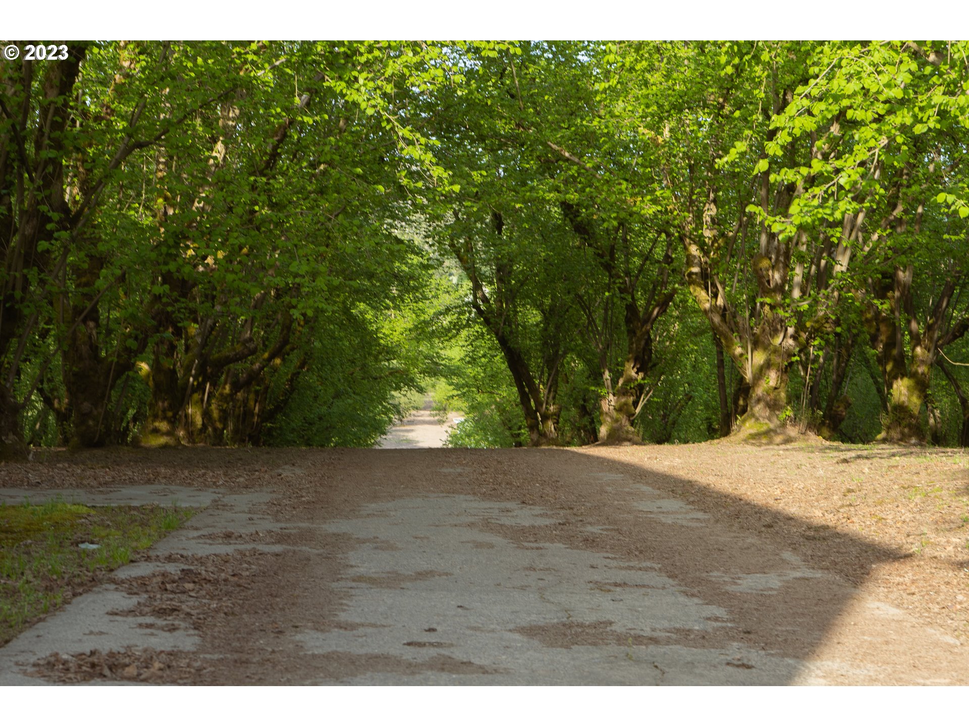 Gaston, Oregon 97119, United States, 3 Bedrooms Bedrooms, ,1 BathroomBathrooms,Residential,Active,72913