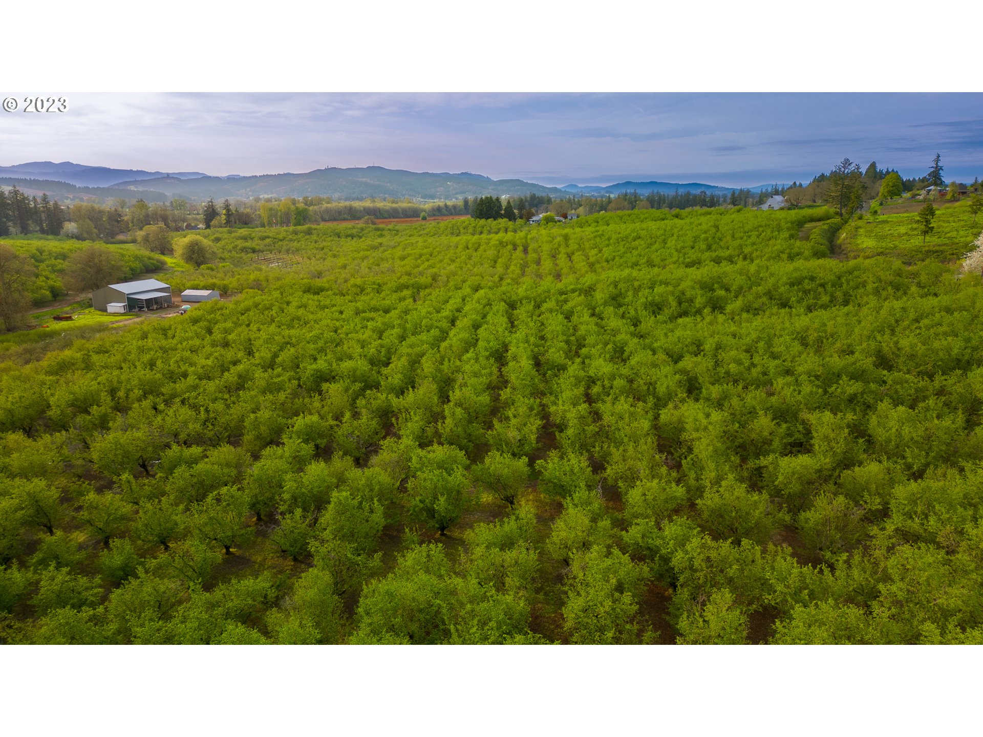 11706 SW SPRING HILL RD