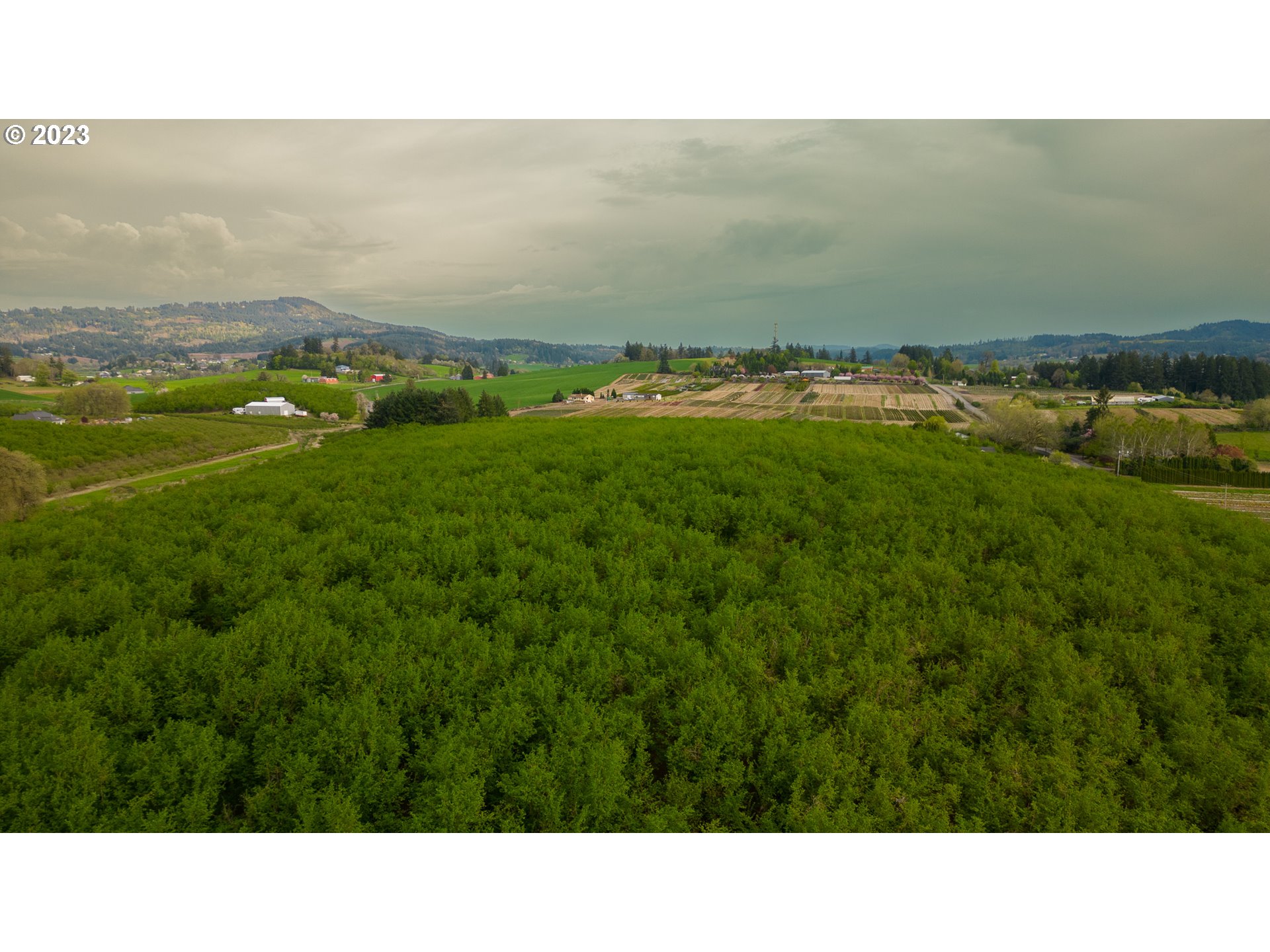 Gaston, Oregon 97119, United States, 3 Bedrooms Bedrooms, ,1 BathroomBathrooms,Residential,Active,72913