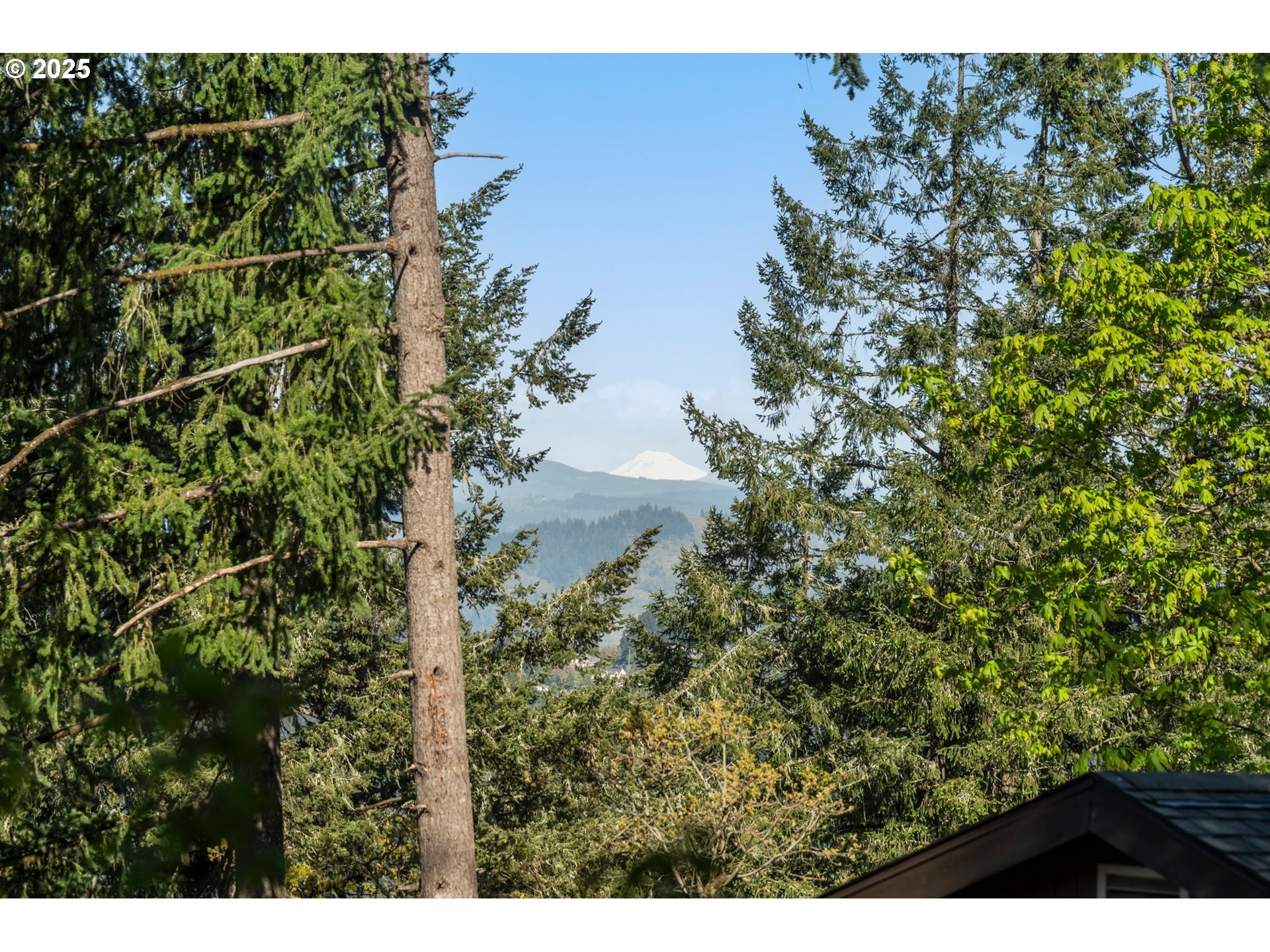 Eugene, Oregon 97405, United States, 3 Bedrooms Bedrooms, ,3 BathroomsBathrooms,Residential,Active,112969