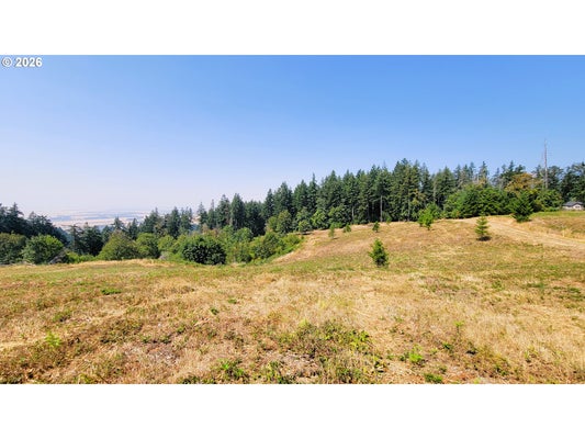 20661 MEADOWVIEW RD, HARRISBURG, OR 97446 - Image 24efd87b5eab2a8ef3d1f8e438b43519/925205431