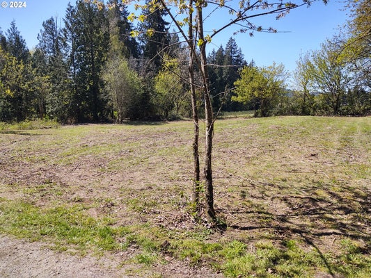 27238 SE CARL ST, GRESHAM, OR 97080 - Image 25224ce8d7264a38fd1198c7d3b42e82/522820517