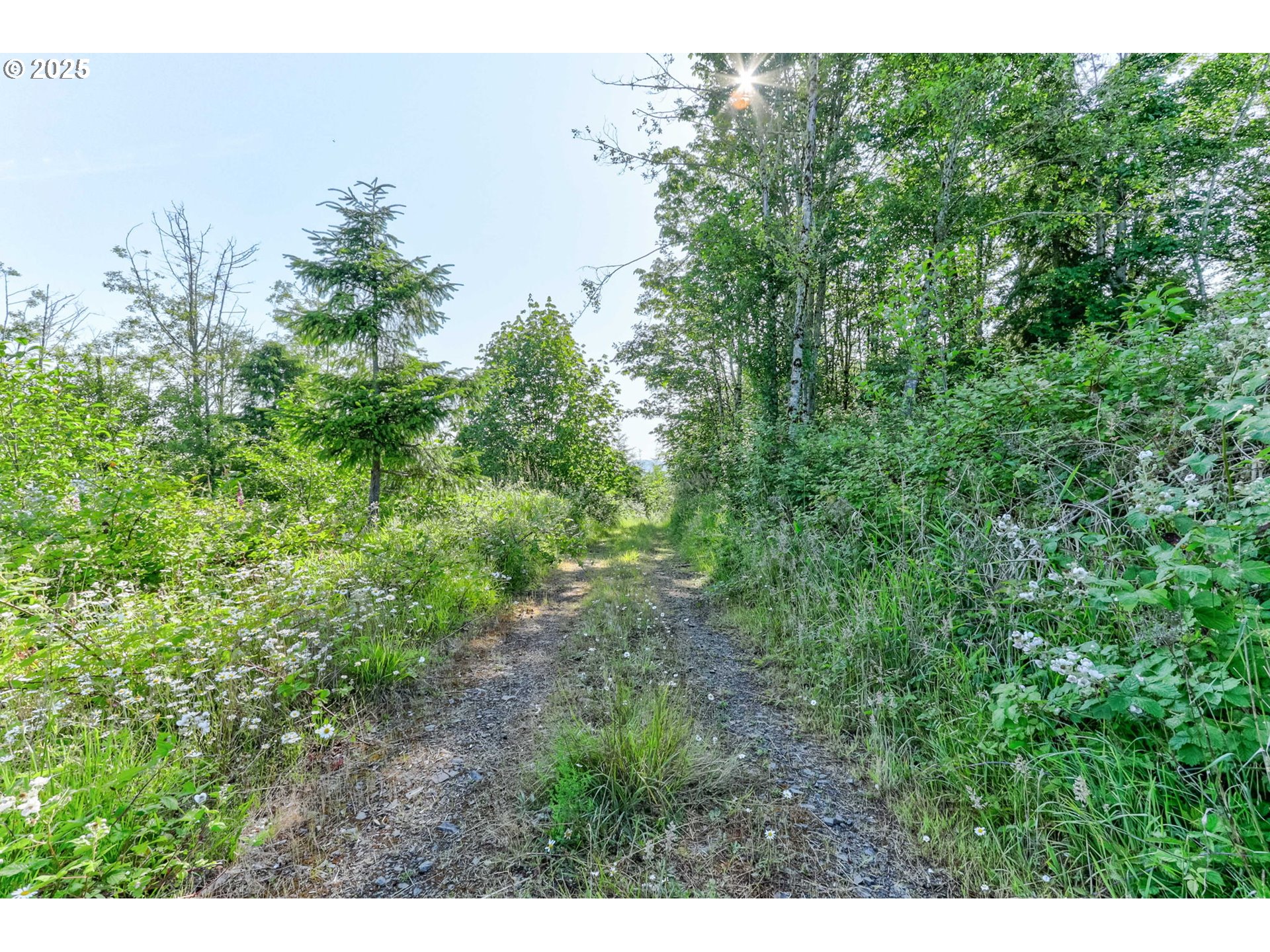 5 Lot Parcel