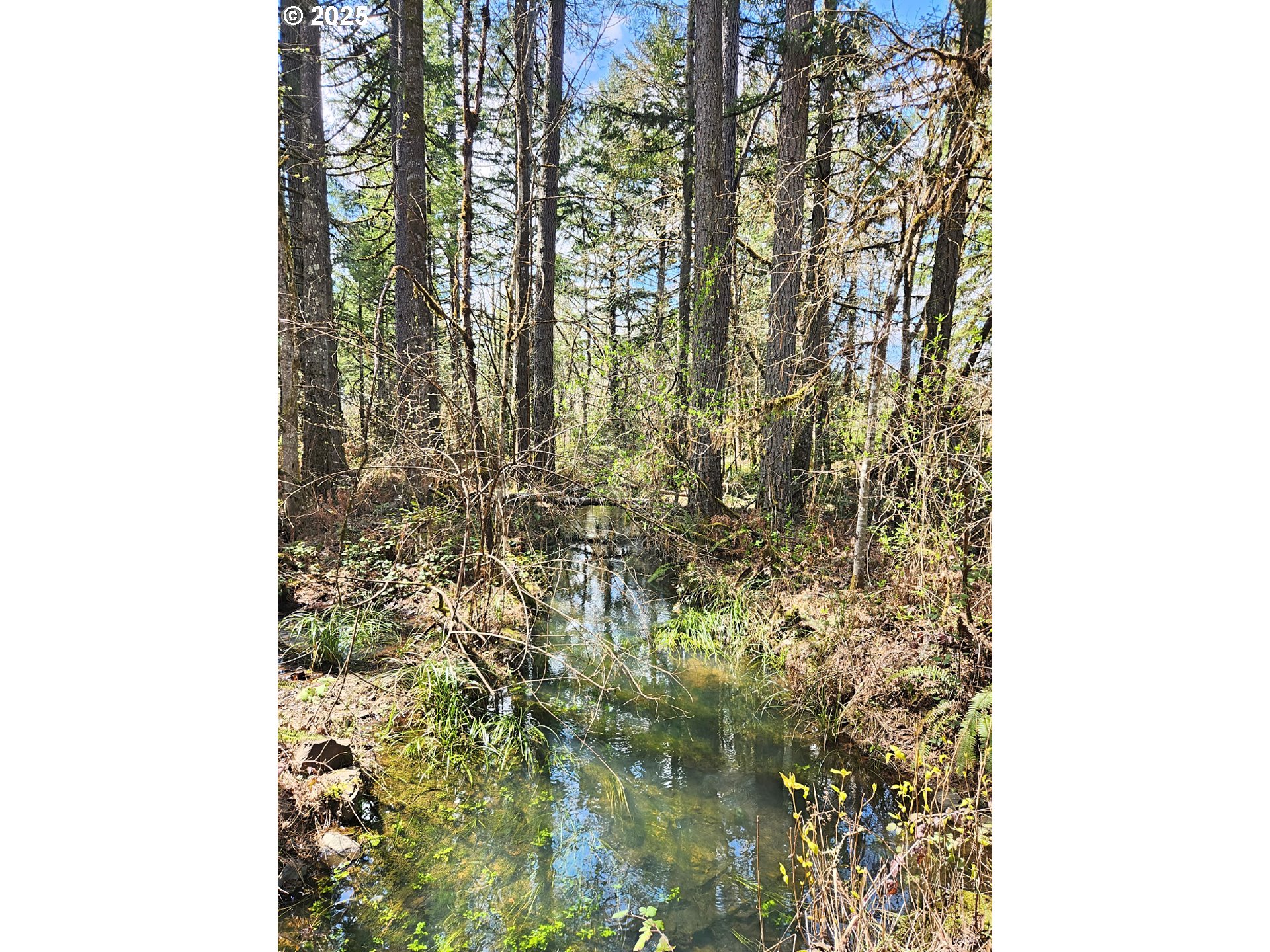 E Hunter RD